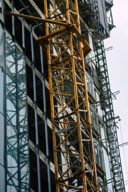 İsrail 'in Renkleri