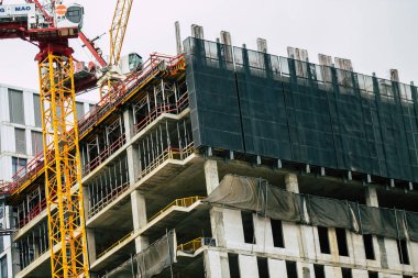 İsrail 'in Renkleri