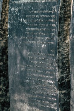 İsrail 'in Renkleri