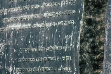İsrail 'in Renkleri