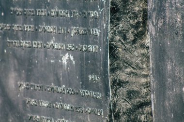 İsrail 'in Renkleri