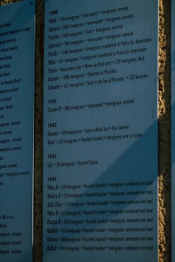 İsrail 'in Renkleri