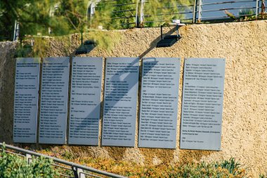 İsrail 'in Renkleri