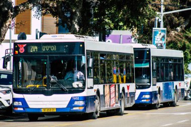 İsrail 'in Renkleri