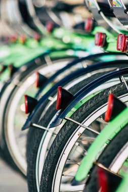 İsrail 'in Renkleri