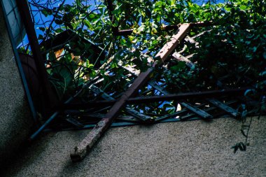 İsrail 'in Renkleri