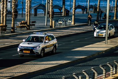 İsrail 'in Renkleri