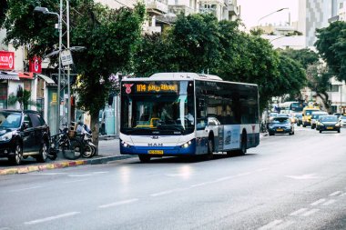 İsrail 'in Renkleri