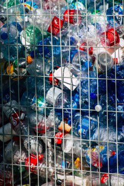 İsrail 'in Renkleri