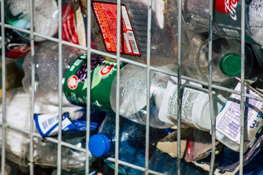 İsrail 'in Renkleri