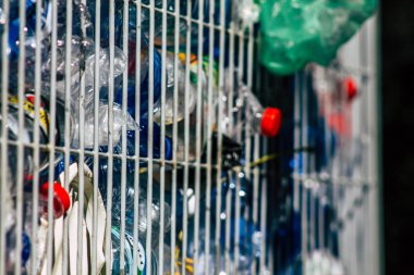 İsrail 'in Renkleri