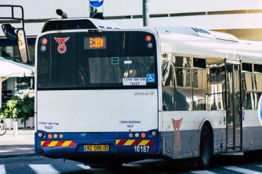 İsrail 'in Renkleri