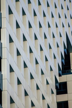 İsrail 'in Renkleri