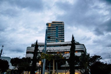 İsrail 'in Renkleri