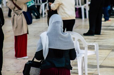 İsrail 'in Renkleri