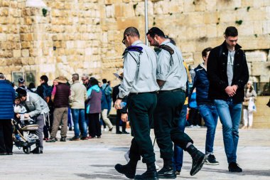 İsrail 'in Renkleri