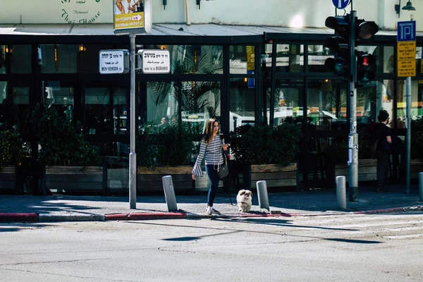 Tel Aviv Srail Şubat 2020 Güneşli Bir Kış Gününde Tel — Stok fotoğraf