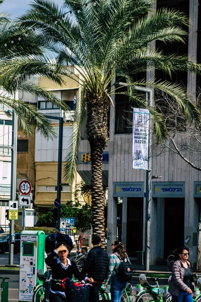 Tel Aviv Israel Února 2020 Pohled Palmy Rostoucí Ulicích Tel — Stock fotografie