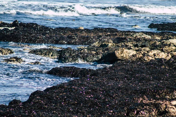 Волны Средиземного Моря Разбиваются Скалу Пляже Пафоса Кипре — стоковое фото