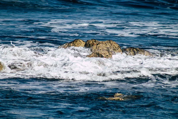 Des Vagues Mer Méditerranée Brisent Contre Rocher Sur Plage Paphos — Photo