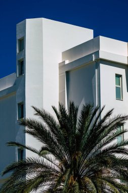 Paphos Kıbrıs Rum Kesimi 08 Mart 2020 Öğleden sonra Paphos sokaklarında bir binanın ön cephesi