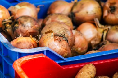 Limasol Kıbrıs Rum Kesimi 14 Mart 2020 Sabahleyin Limasol pazarında satılan çeşitli sebzelerin manzarası