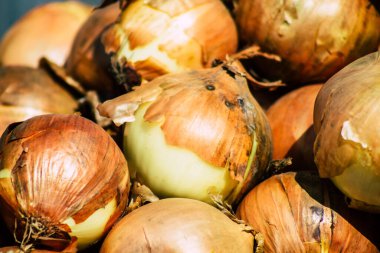 Limasol Kıbrıs Rum Kesimi 14 Mart 2020 Sabahleyin Limasol pazarında satılan çeşitli sebzelerin manzarası