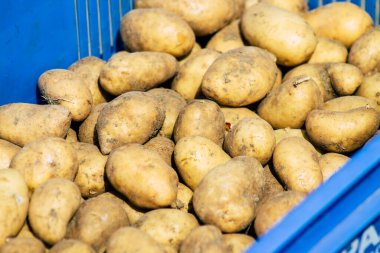 Limasol Kıbrıs Rum Kesimi 14 Mart 2020 Sabahleyin Limasol pazarında satılan çeşitli sebzelerin manzarası