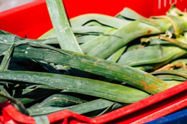 Limasol Kıbrıs Rum Kesimi 14 Mart 2020 Sabahleyin Limasol pazarında satılan çeşitli sebzelerin manzarası