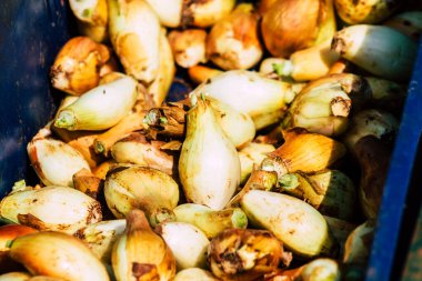 Limasol Kıbrıs Rum Kesimi 14 Mart 2020 Sabahleyin Limasol pazarında satılan çeşitli sebzelerin manzarası