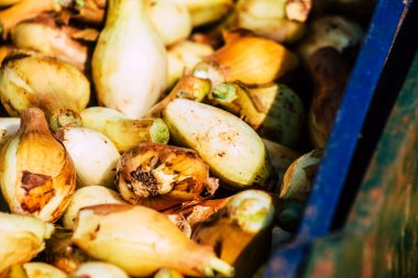 Limasol Kıbrıs Rum Kesimi 14 Mart 2020 Sabahleyin Limasol pazarında satılan çeşitli sebzelerin manzarası