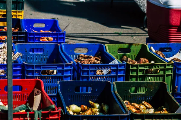 Лимассол Кипр Марта 2020 Вид Различные Овощи Продаваемые Рынке Лимассола — стоковое фото
