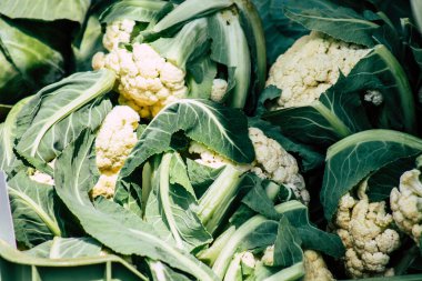 Limasol Kıbrıs Rum Kesimi 14 Mart 2020 Sabahleyin Limasol pazarında satılan çeşitli sebzelerin manzarası