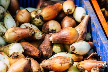 Limasol Kıbrıs Rum Kesimi 14 Mart 2020 Sabahleyin Limasol pazarında satılan çeşitli sebzelerin manzarası