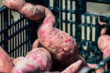 Limasol Kıbrıs Rum Kesimi 14 Mart 2020 Sabahleyin Limasol pazarında satılan çeşitli sebzelerin manzarası