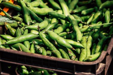 Limasol Kıbrıs Rum Kesimi 14 Mart 2020 Sabahleyin Limasol pazarında satılan çeşitli sebzelerin manzarası