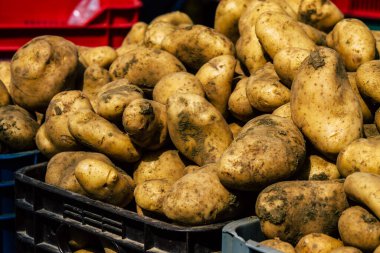 Limasol Kıbrıs Rum Kesimi 14 Mart 2020 Sabahleyin Limasol pazarında satılan çeşitli sebzelerin manzarası