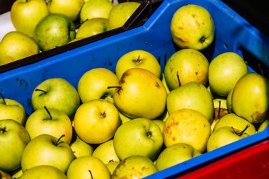 Limasol Kıbrıs Rum Kesimi 14 Mart 2020 Sabahleyin Limasol pazarında satılan çeşitli meyvelerin görüntüsü