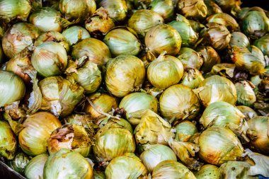 Kudüs İsrail, 18 Ağustos 2018 Mahane Yehuda Pazarı 'nda satılan çeşitli sebzelerin yakın çekimi, Shuk olarak da bilinir, Kudüs' te bir pazar yeri ve Orta Doğu 'nun en ünlülerinden biridir.