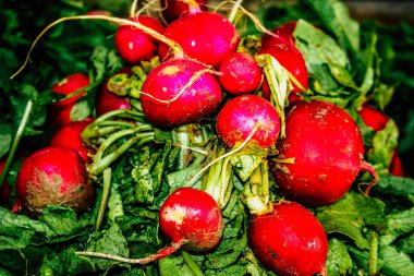 Kudüs İsrail, 18 Ağustos 2018 Mahane Yehuda Pazarı 'nda satılan çeşitli sebzelerin yakın çekimi, Shuk olarak da bilinir, Kudüs' te bir pazar yeri ve Orta Doğu 'nun en ünlülerinden biridir.