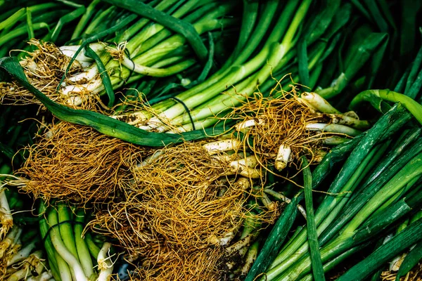 2017 Jerusalem Israel 2018 Closeup Various Vegetables Sold Mahane Yehuda — 스톡 사진