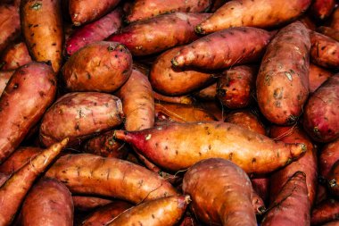 Kudüs İsrail, 18 Ağustos 2018 Mahane Yehuda Pazarı 'nda satılan çeşitli sebzelerin yakın çekimi, Shuk olarak da bilinir, Kudüs' te bir pazar yeri ve Orta Doğu 'nun en ünlülerinden biridir.