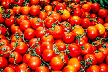 Kudüs İsrail, 18 Ağustos 2018 Mahane Yehuda Pazarı 'nda satılan çeşitli sebzelerin yakın çekimi, Shuk olarak da bilinir, Kudüs' te bir pazar yeri ve Orta Doğu 'nun en ünlülerinden biridir.