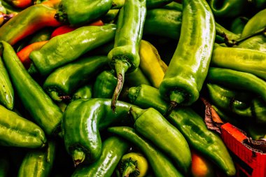 Kudüs İsrail, 18 Ağustos 2018 Mahane Yehuda Pazarı 'nda satılan çeşitli sebzelerin yakın çekimi, Shuk olarak da bilinir, Kudüs' te bir pazar yeri ve Orta Doğu 'nun en ünlülerinden biridir.