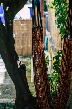 Limasol Kıbrıs Rum Kesimi 11 Nisan 2020, Kıbrıs Rum Kesimi 'ndeki Limasol adasında bulunan Lemongrass Pansiyonu' nun bahçesi