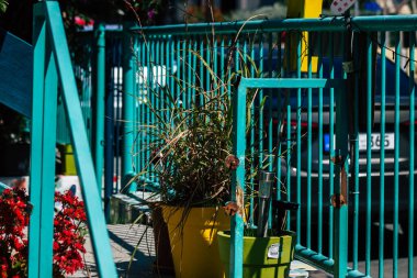 Limasol Kıbrıs Rum Kesimi 11 Nisan 2020, Kıbrıs Rum Kesimi 'ndeki Limasol adasında bulunan Lemongrass Pansiyonu' nun bahçesi