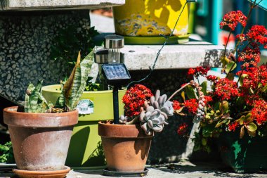 Limasol Kıbrıs Rum Kesimi 11 Nisan 2020, Kıbrıs Rum Kesimi 'ndeki Limasol adasında bulunan Lemongrass Pansiyonu' nun bahçesi