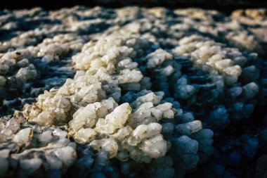 Ölü Deniz İsrail 21 Nisan 2018, İsrail 'deki Ölü Deniz' den kristal tuza yakın çekim