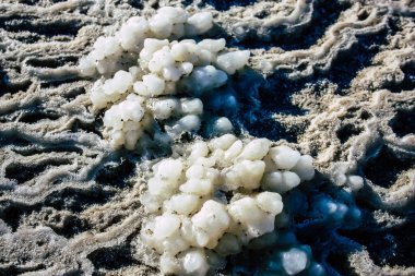 Ölü Deniz İsrail 21 Nisan 2018, İsrail 'deki Ölü Deniz' den kristal tuza yakın çekim