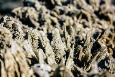 Ölü Deniz İsrail 21 Nisan 2018, İsrail 'deki Ölü Deniz' den kristal tuza yakın çekim